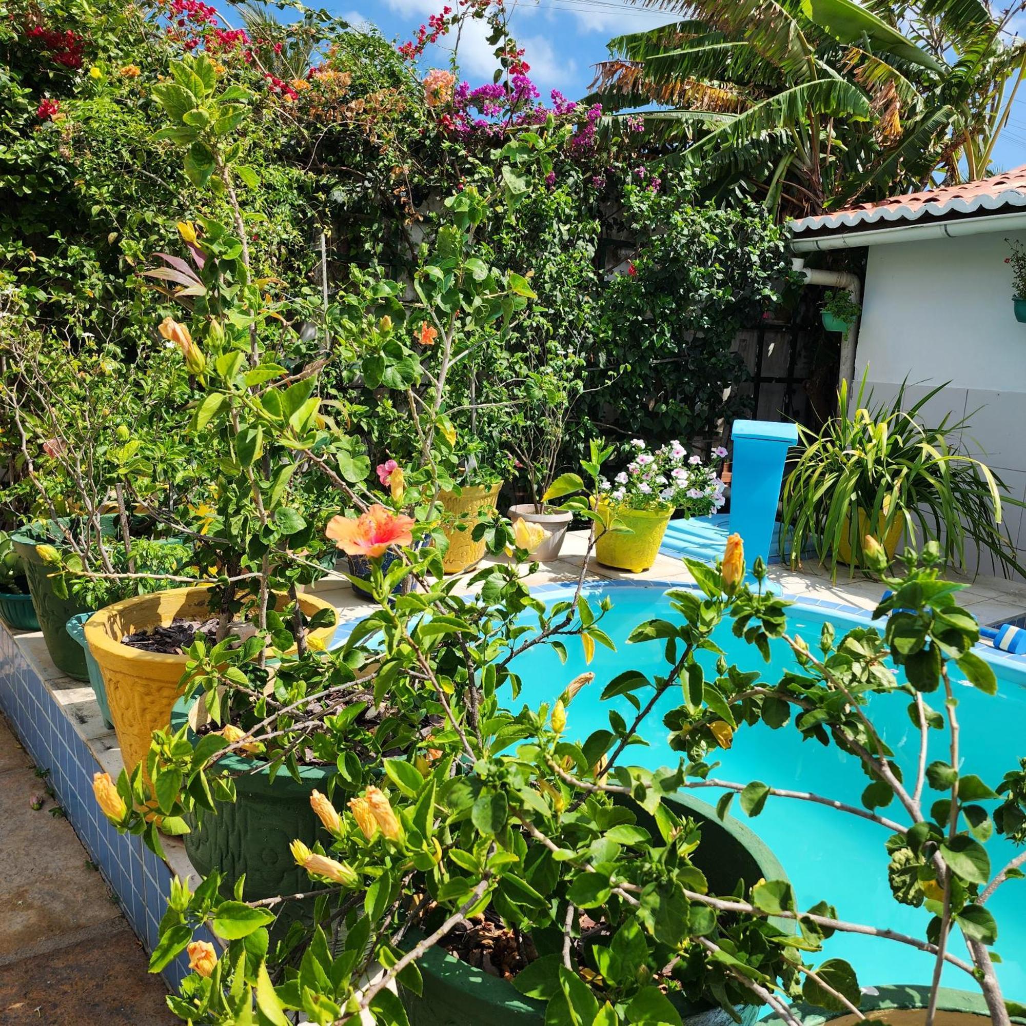 Mandala Dreams Pousada E Portal Holistico Maceio  ภายนอก รูปภาพ