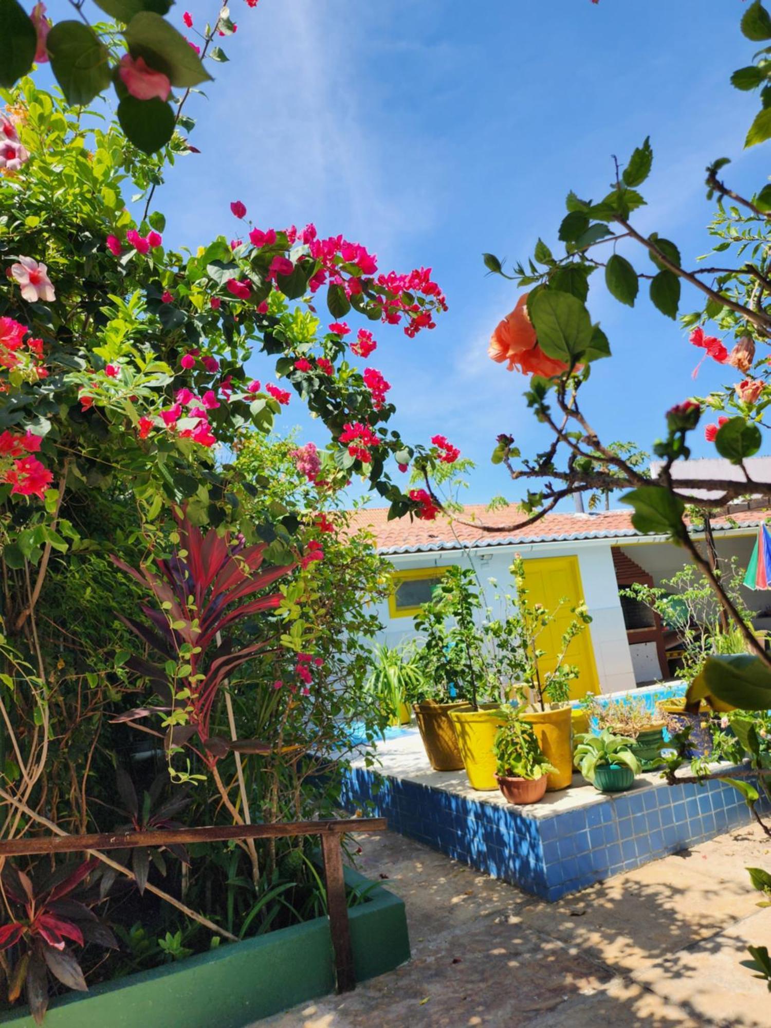 Mandala Dreams Pousada E Portal Holistico Maceio  ภายนอก รูปภาพ