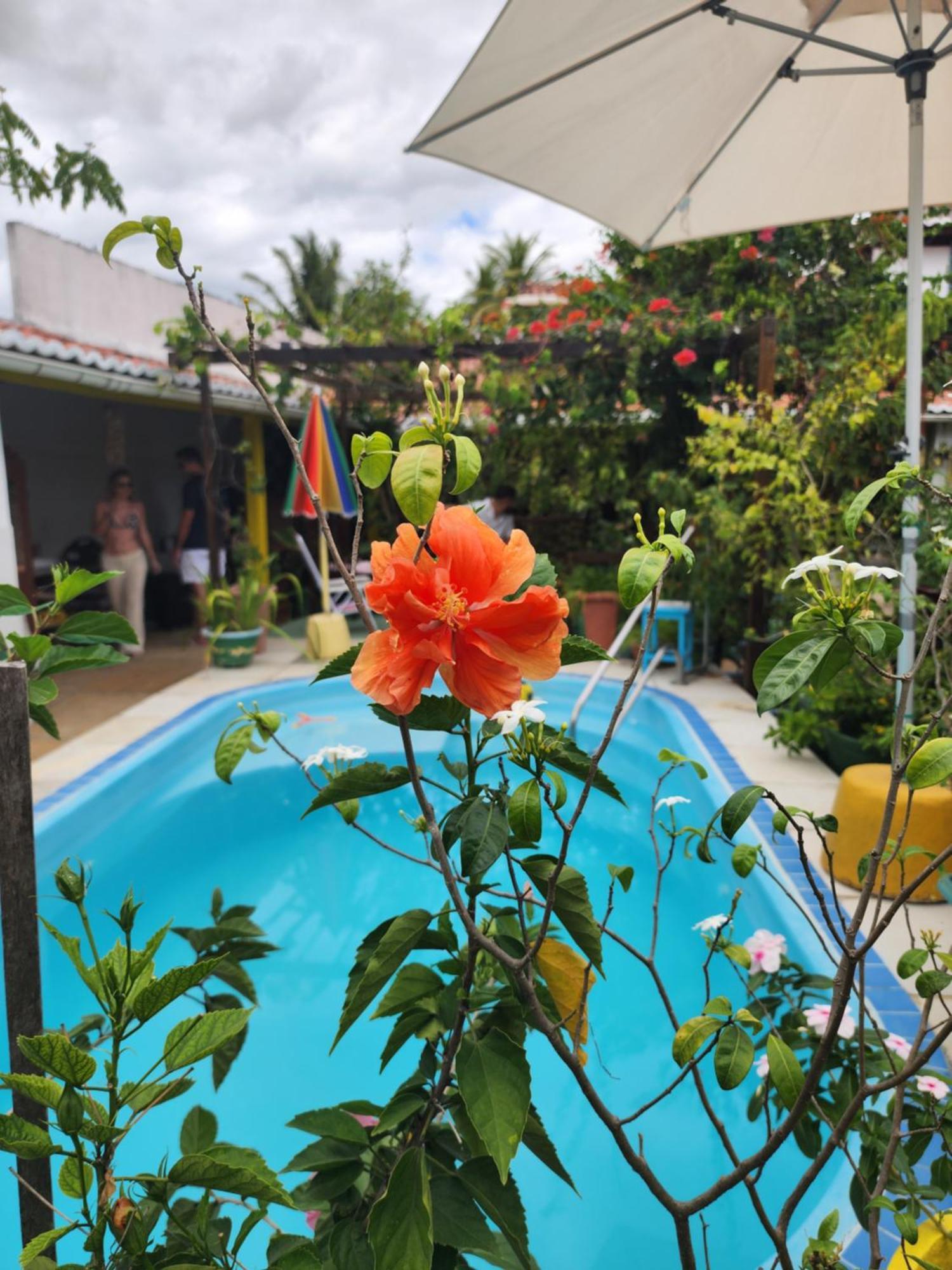 Mandala Dreams Pousada E Portal Holistico Maceio  ภายนอก รูปภาพ