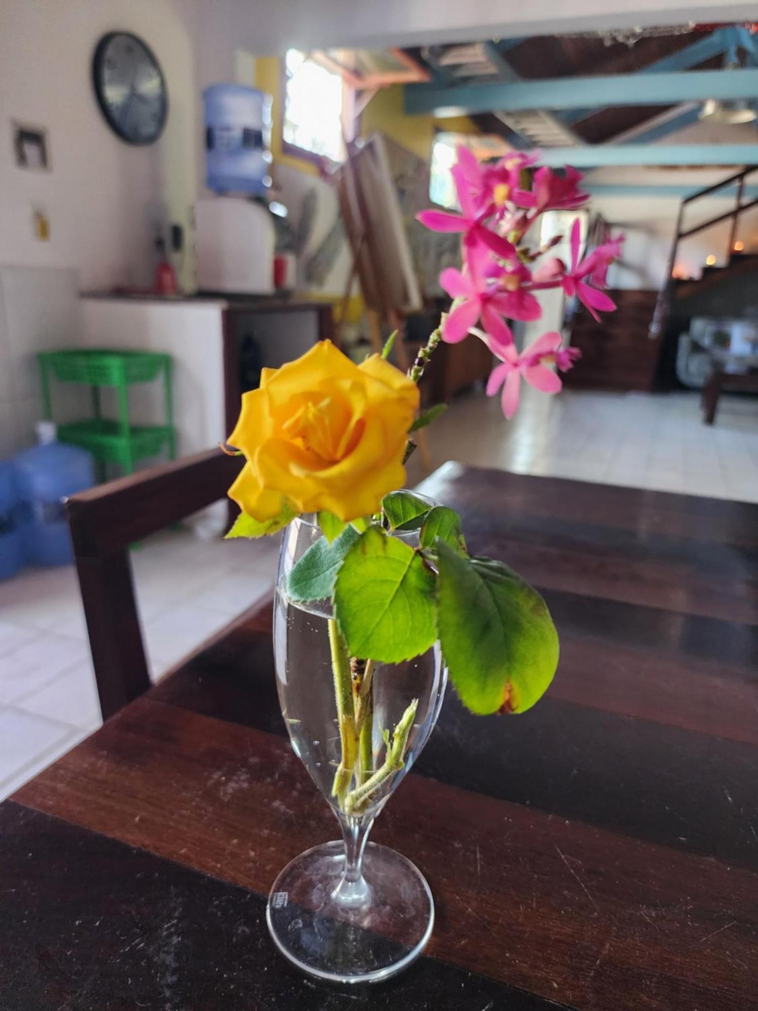 Mandala Dreams Pousada E Portal Holistico Maceio  ภายนอก รูปภาพ